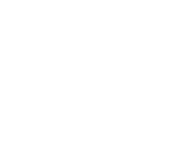 ZALYS dragonfly